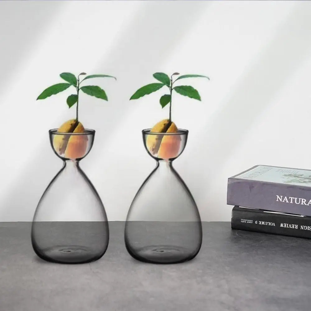 Small Avocado Planting Vase Heat-resistant Exquisite Avocado Hydroponic Bottle Simple Transparent Breeding Container Indoor