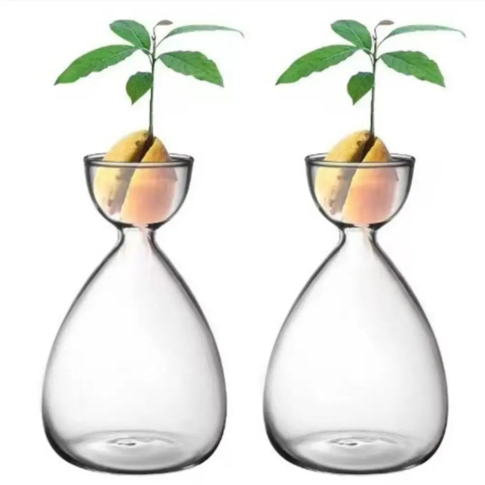 Small Avocado Planting Vase Heat-resistant Exquisite Avocado Hydroponic Bottle Simple Transparent Breeding Container Indoor