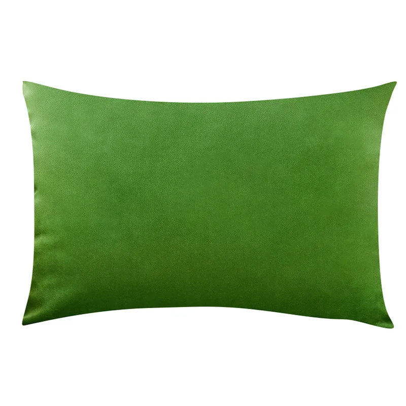 Cozy Velvet Throw Pillow Cover,Green Solid Home Decorative Square Cushion Case for Sofa Bedroom Car, 30x50cm Pillowcase