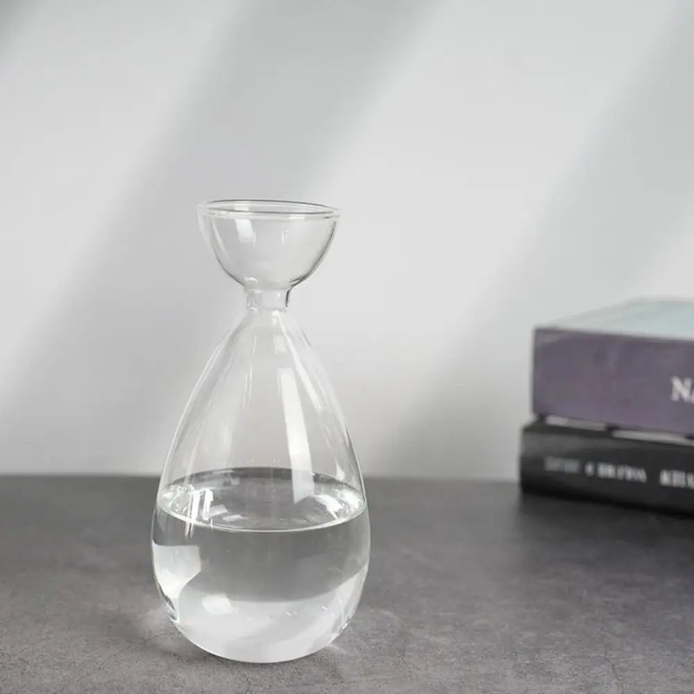 Small Avocado Planting Vase Heat-resistant Exquisite Avocado Hydroponic Bottle Simple Transparent Breeding Container Indoor