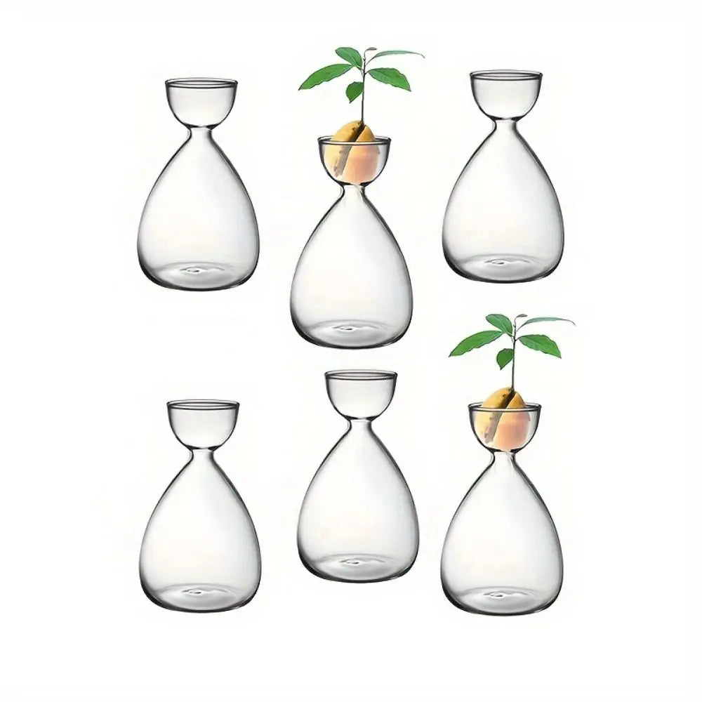 Small Avocado Planting Vase Heat-resistant Exquisite Avocado Hydroponic Bottle Simple Transparent Breeding Container Indoor