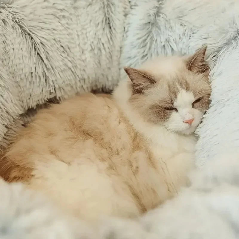 Soft Plush Cat Bed with Cozy Tunnel for Indoor Cats Multifunctional Donut Bed with Peephole for Playful Kittens
